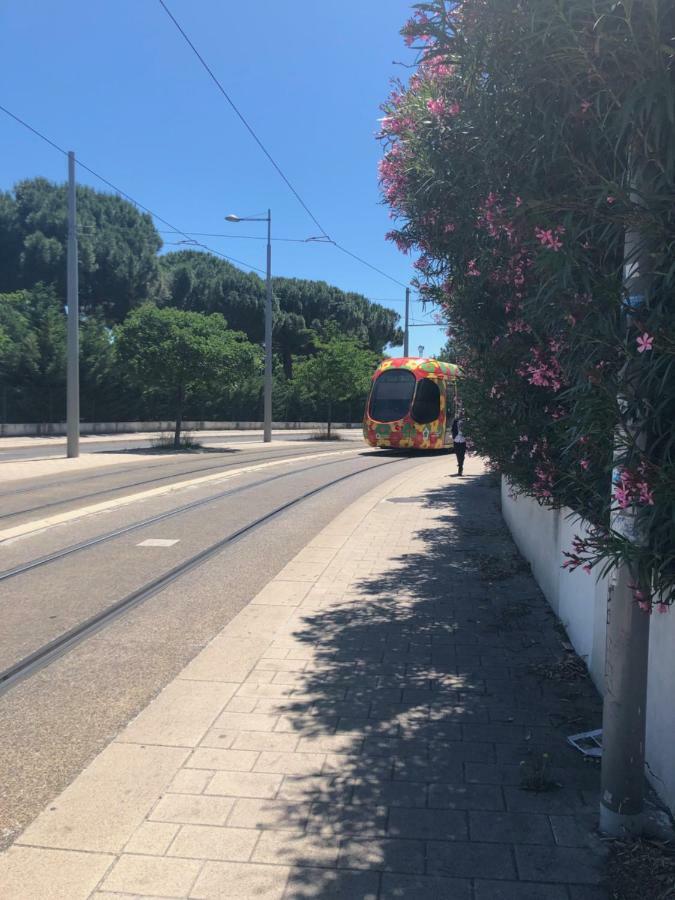 Appartement Mimosa, Tram 2, Parking Montpellier Exteriér fotografie